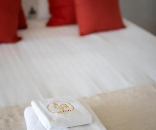 Le Coq Livieri - Wifi - Seafront - Town Centre